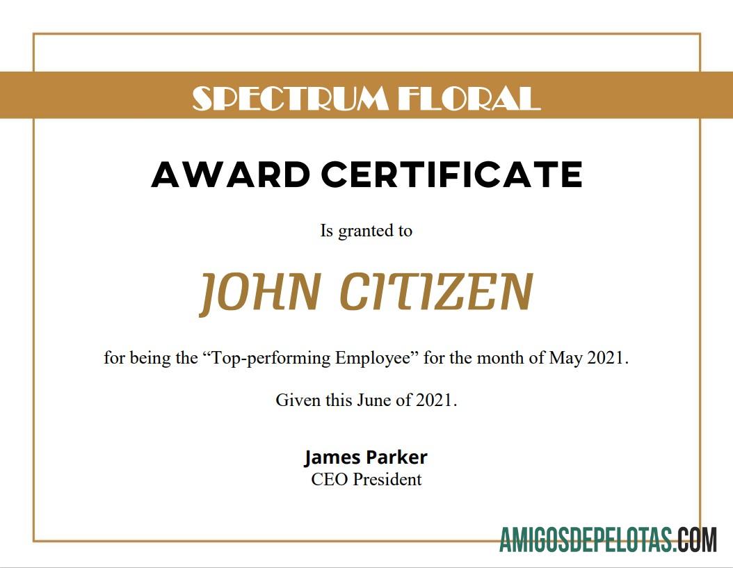 Certificado de Prêmio dos EUA modelo